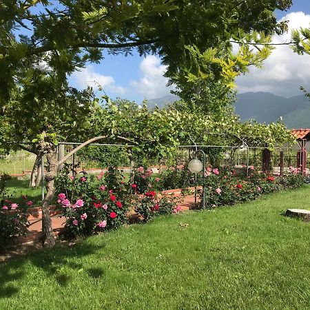 فندق Alma Migrante Bed&Wine Telese المظهر الخارجي الصورة