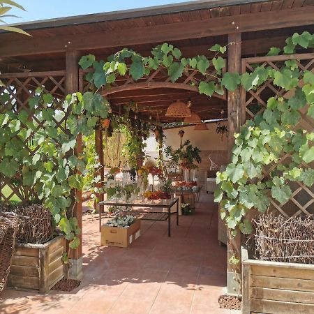 فندق Alma Migrante Bed&Wine Telese المظهر الخارجي الصورة